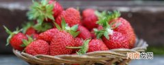 草莓放冰箱好还是常温保存好 草莓的保存方法