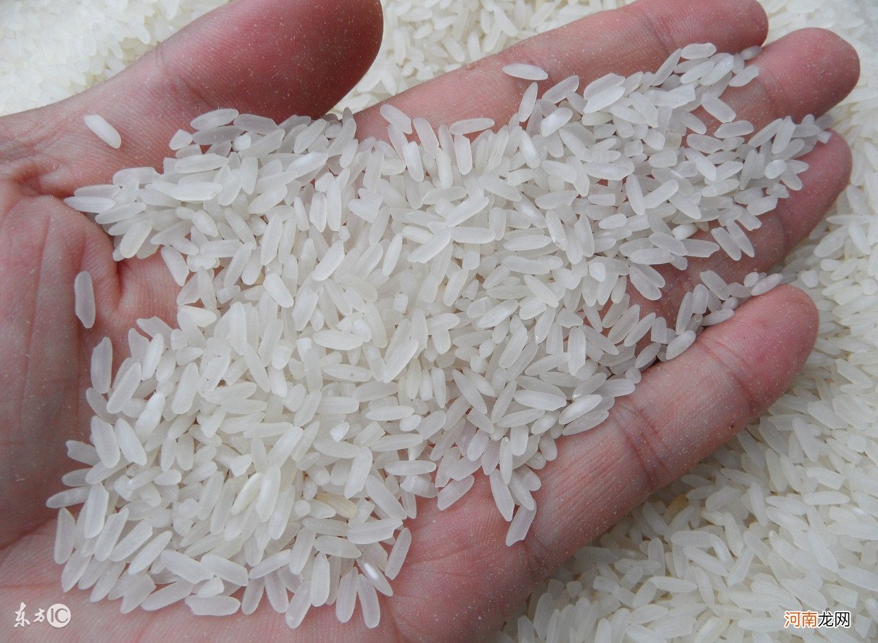 大米的功效与作用及营养价值