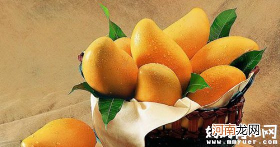 芒果不能和什么一起吃 避开“吃芒果非常毒”的时期