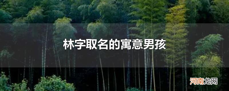 林字取名的寓意男孩