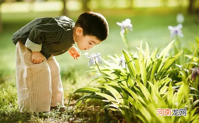 孩子遭遇挫折便退缩不前，可能是这几种原因惹的祸，你知道吗