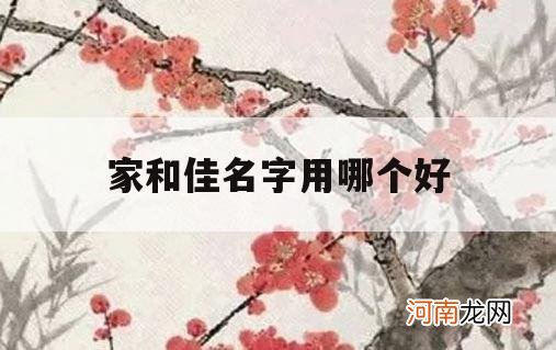 家和佳名字用哪个好_家佳名字含义