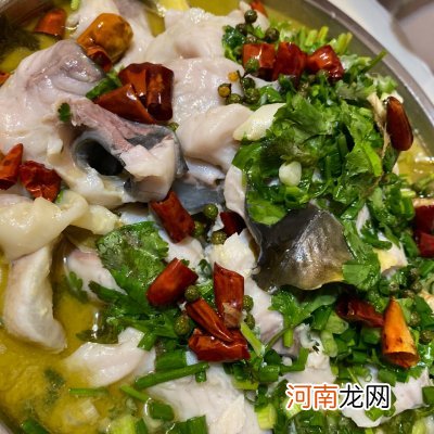 正宗酸菜鱼这样做最好吃 酸菜鱼的做法最正宗的做法