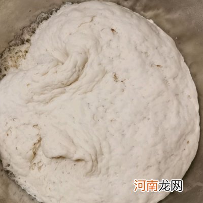 蒸包子自己做更好吃 蒸包子的教程及发面步骤