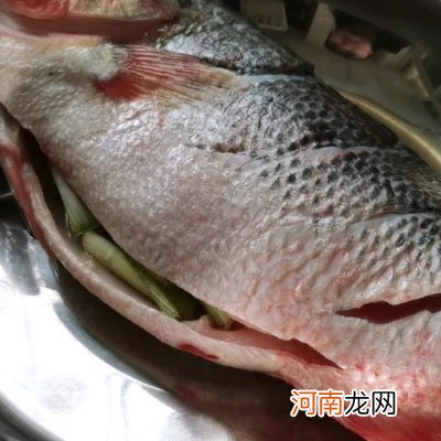 清蒸鱼在家做美味又营养 蒸鱼的做法