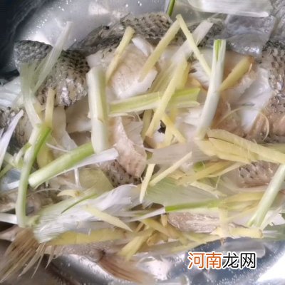 清蒸鱼在家做美味又营养 蒸鱼的做法