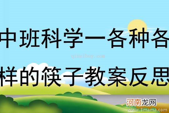 大班语言活动一次性筷子好还是不好？教案反思