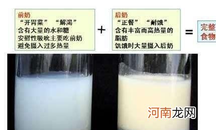 前奶和后奶的营养成分