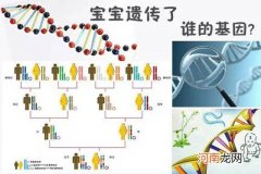 孩子的智力遗传谁的多 母亲对孩子智商的影响竟如此大