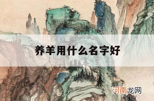 养羊用什么名字好_如何给养羊养殖场起个好名字