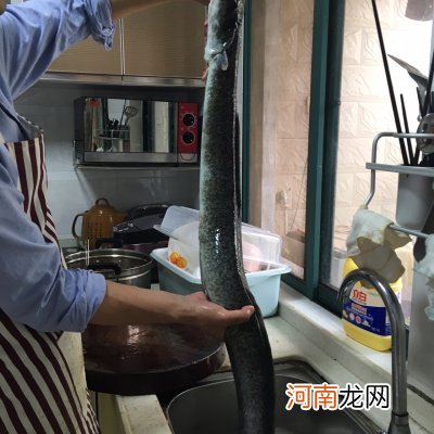 清蒸鳗鱼 鳗鱼的做法