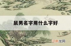 鼠男名字用什么字好_属鼠的男孩名字取什么字最好