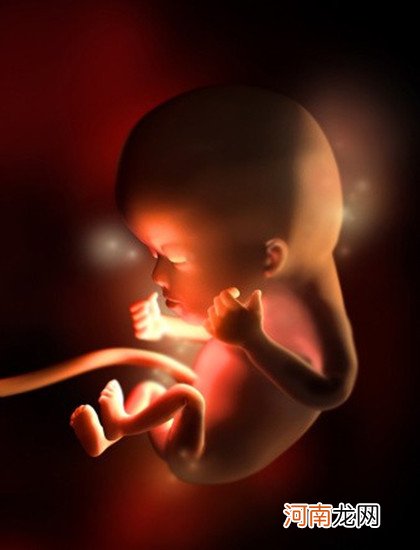 彩色3D 图 孕期小百科：怀孕1一9月胎位变化图