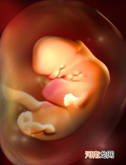 彩色3D 图 孕期小百科：怀孕1一9月胎位变化图