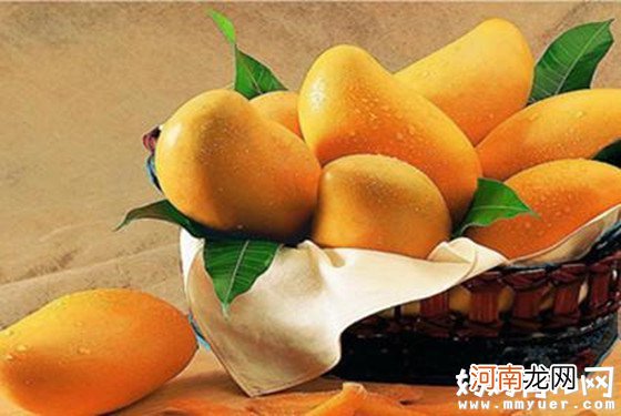 【孕妇能吃芒果吗】孕妇吃芒果的好处 吃芒果注意事项