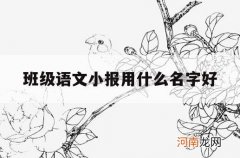 班级语文小报用什么名字好_语文小报里面写什么