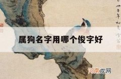 属狗名字用哪个俊字好_属相狗取名用什么字最好