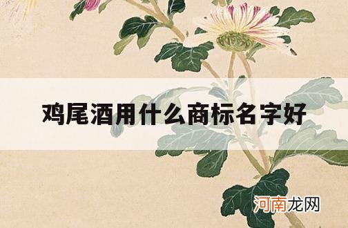 鸡尾酒用什么商标名字好_鸡尾酒还有什么名字