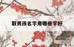 取男孩名字用哪些字好_男孩子用哪个字取名好