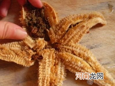 煮熟或者蒸的 海星怎么吃