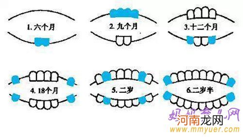 儿童换牙规律以及换牙期间的饮食营养补充 爱护牙齿从小做起