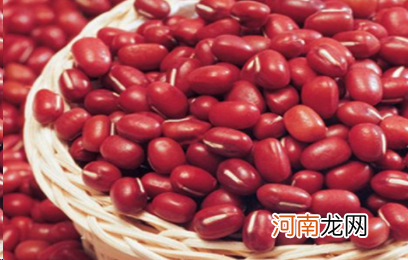 学会红豆的这五种做法 红豆的做法的吃法大全