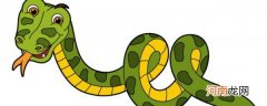 响尾蛇属于哪种动物 响尾蛇介绍