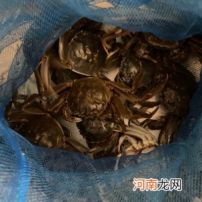 简单懒人菜蒸河蟹 河蟹做法