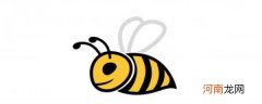 夏天蜜蜂怎么养 夏天养蜜蜂方法