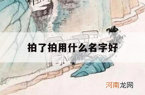 拍了拍用什么名字好_拍了拍好听的名字