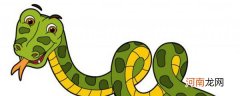 眼镜蛇是不是保护动物 眼镜蛇被保护吗