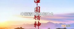 中国精神具体指什么