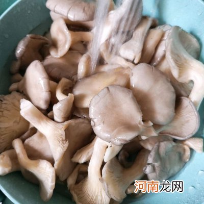 平菇最好吃的家常做法 平菇怎么做好吃