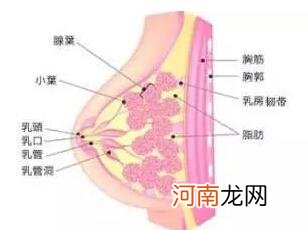 疏通乳腺结节最好的方法