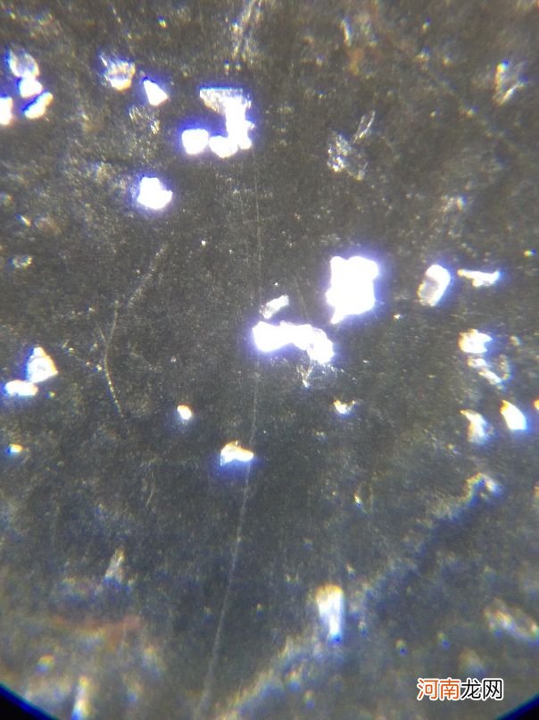碳质球粒陨石为何如此珍贵