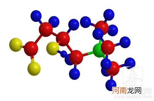 活性肽的作用与功效