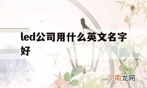 led公司用什么英文名字好_led是英文什么的缩写