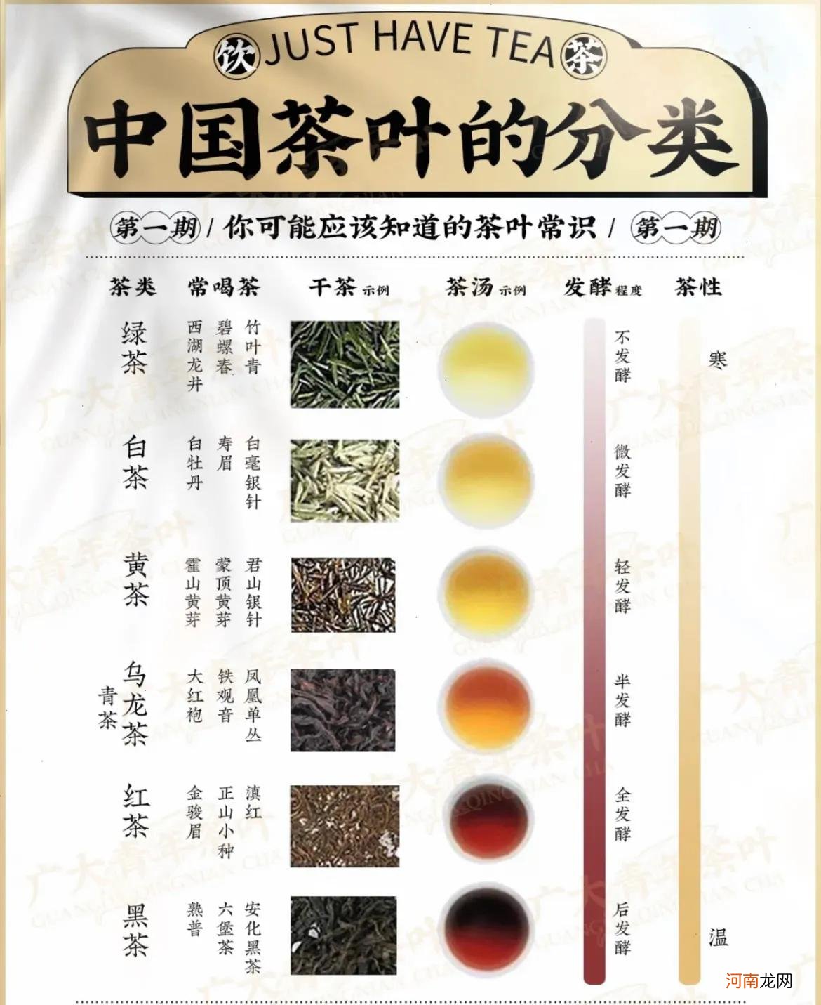 茶的基本知识点都在这里了 茶叶基础知识