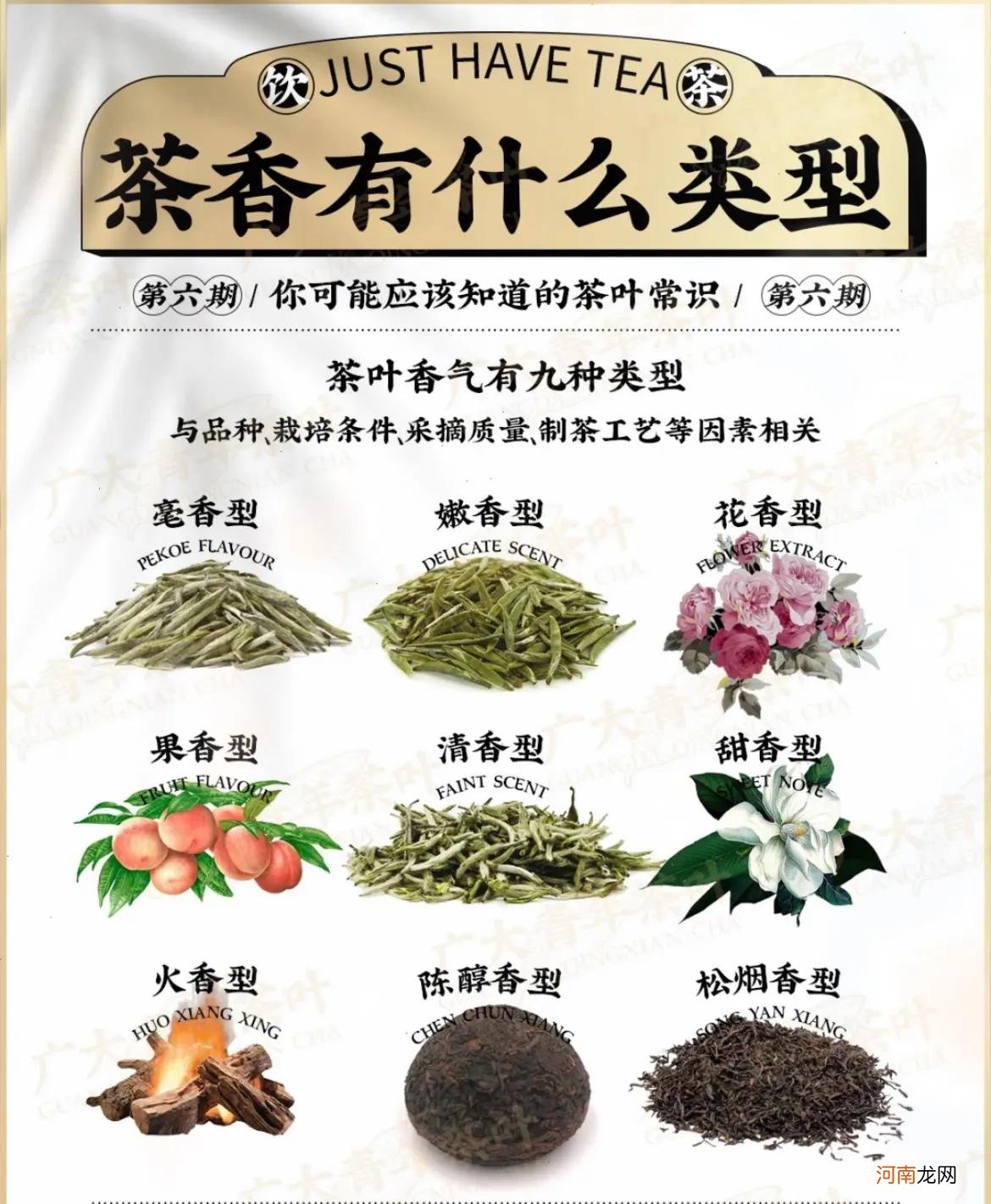 茶的基本知识点都在这里了 茶叶基础知识