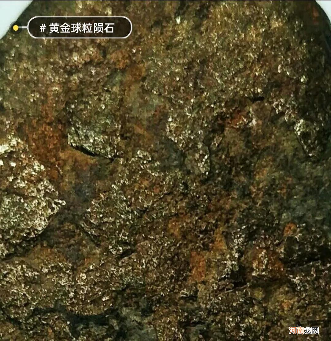 世界罕见黄金球粒定向陨石共赏 全球最稀有的陨石图片