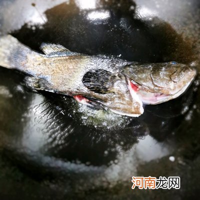 红烧珍珠龙胆石斑鱼 石斑鱼的做法大全家常做法