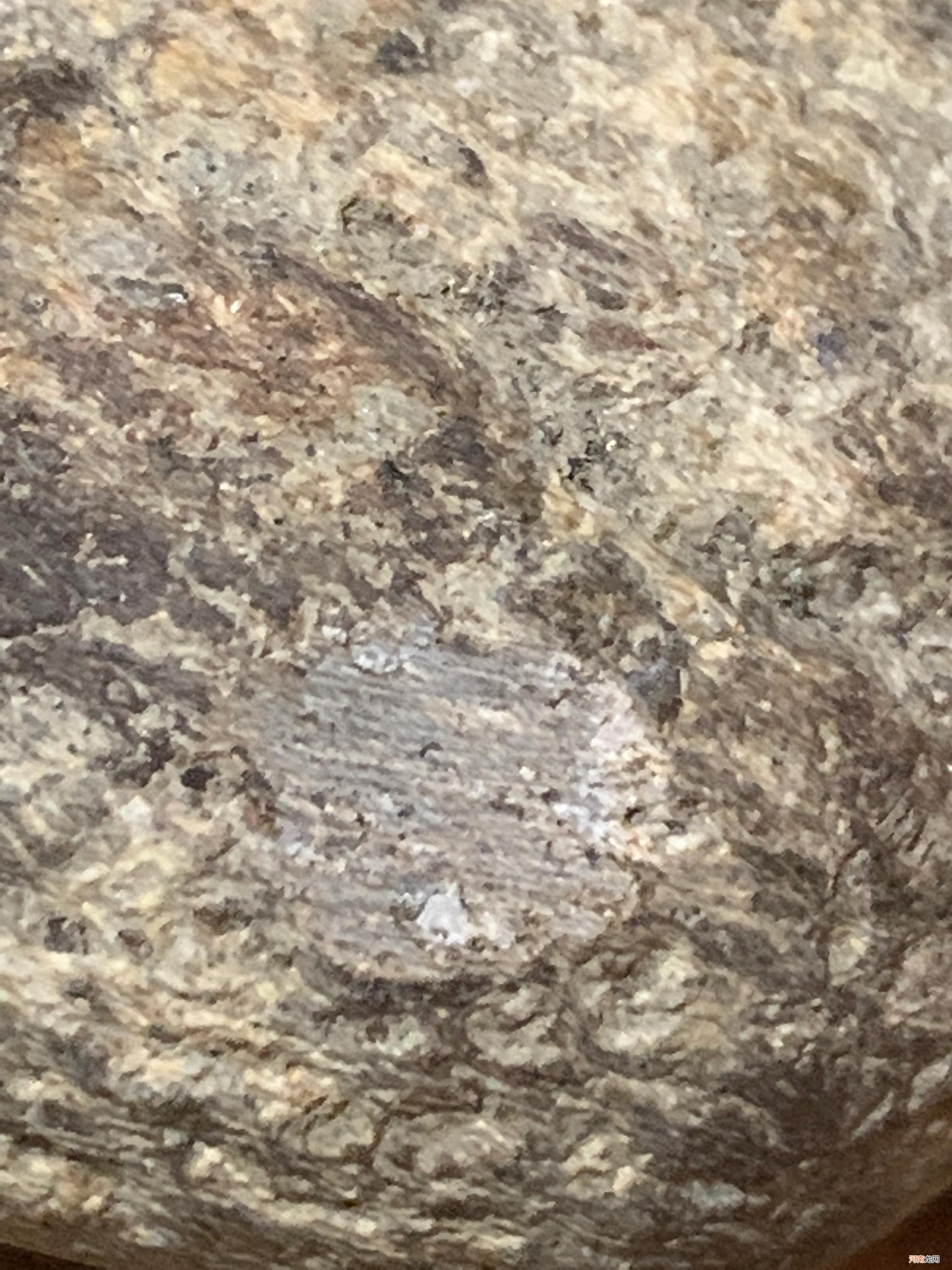 识别石陨石熔壳 石陨石怎么鉴定