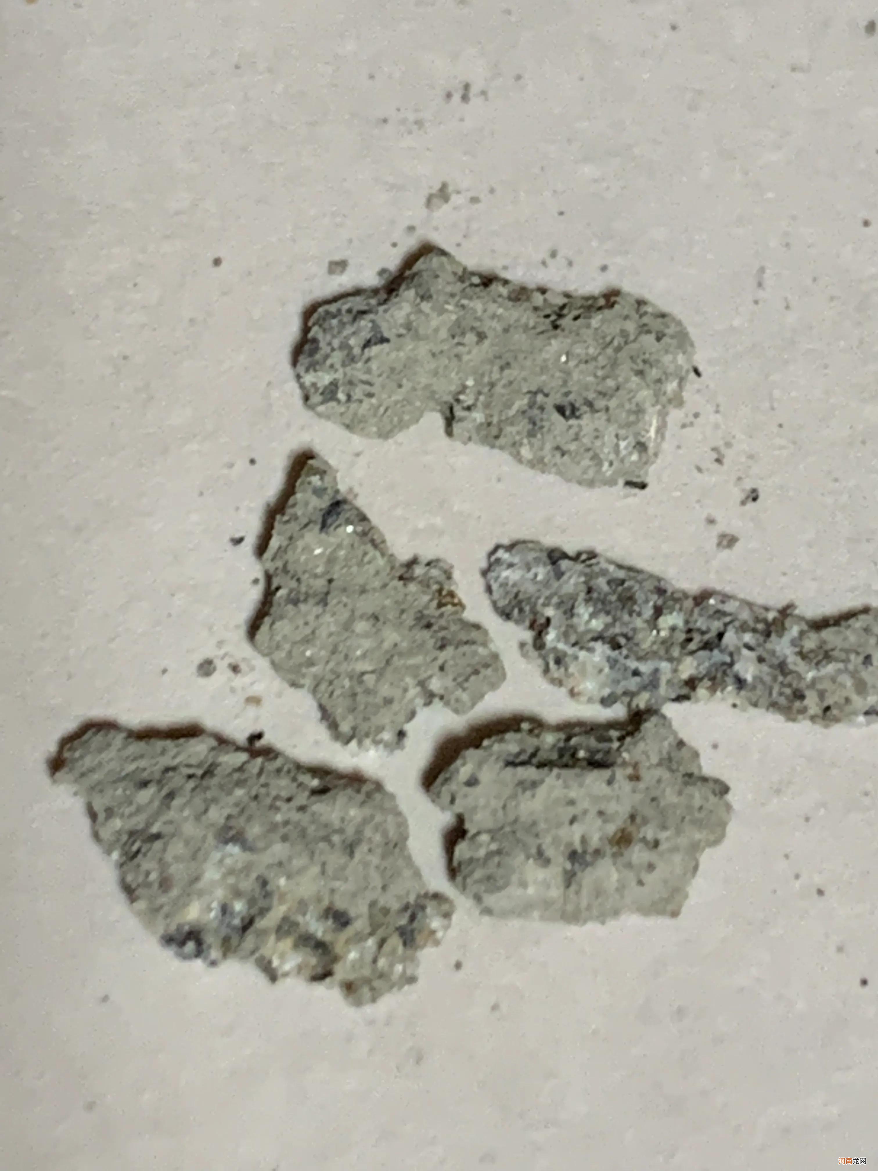识别石陨石熔壳 石陨石怎么鉴定