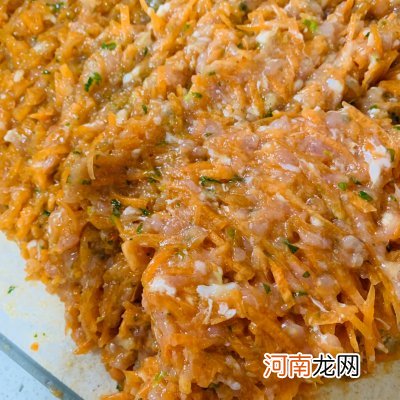 胡萝卜鲜肉馅饺子做法 水饺的做法