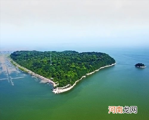 盘点我国20个省的代表名茶 茶叶产地主要在哪个省