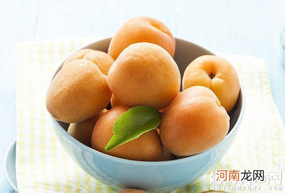 古语道“杏伤人” 究竟孕妇能吃杏吗 杏吃多了会怎样？