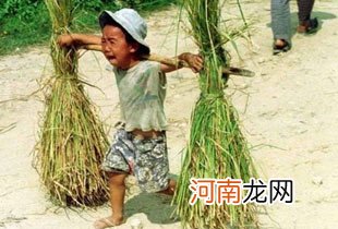 哭着挑稻草的农村孩子为啥长不高