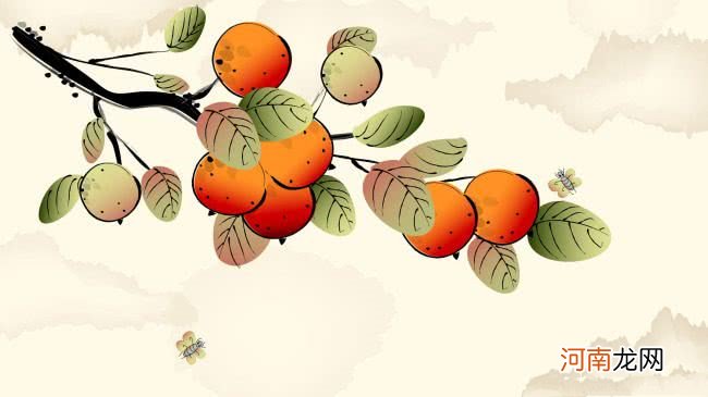 描写橘子的优美句子 赞美橘子的诗句