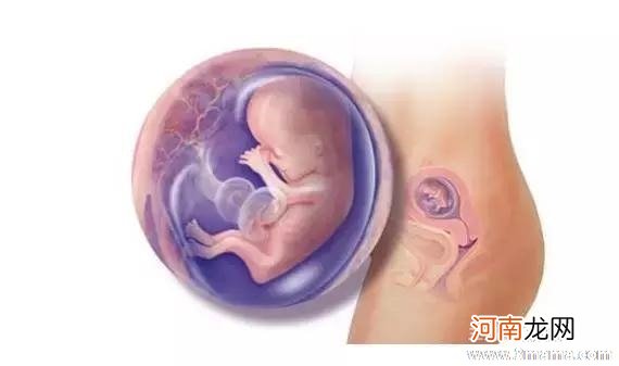 怀孕1周胎儿的发育状况及症状