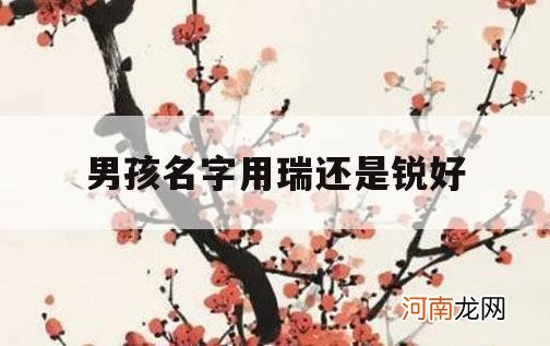 男孩名字用瑞还是锐好_锐和瑞字的含义取名